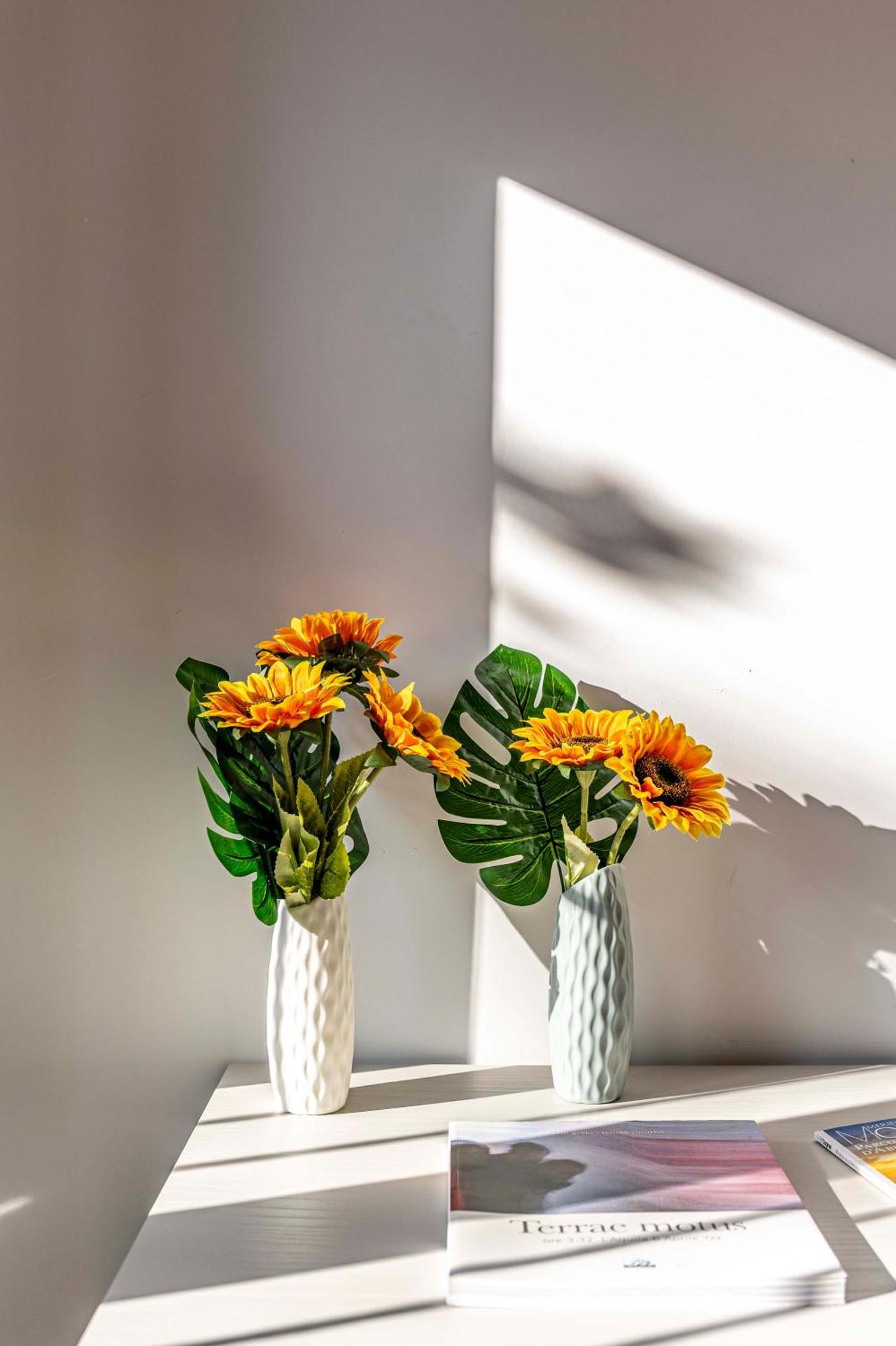 L'Aquila Home 'Il Comfort In 4 Camere' מראה חיצוני תמונה